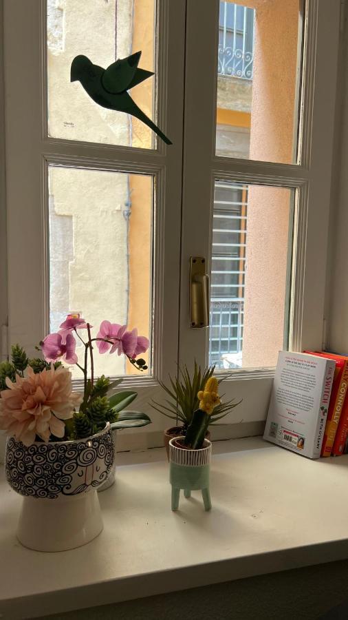 Apartamento con mucho encanto en el Barri Vell , Old Town, de Girona, El Cul de la Lleona Exterior foto