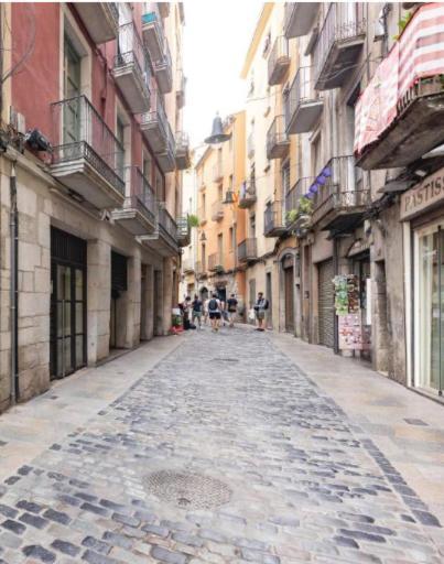 Apartamento con mucho encanto en el Barri Vell , Old Town, de Girona, El Cul de la Lleona Exterior foto